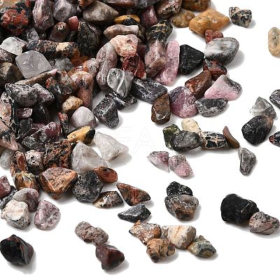 Natural Leopard Skin Jasper Beads G-D351-02-1