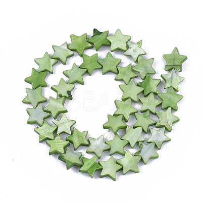 Freshwater Shell Beads Strands SHEL-S276-31C-1