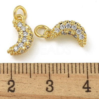 Rack Plating Brass Micro Pave Clear Cubic Zirconia Charms KK-Z067-23G-08-1