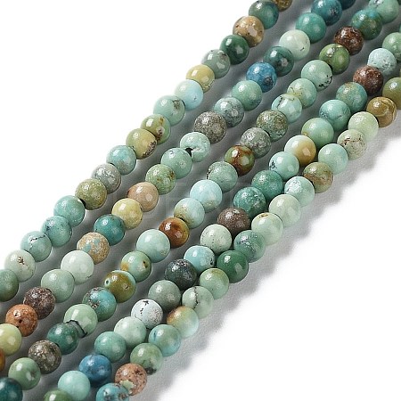 Natural HuBei Turquoise Beads Strands G-M411-A01-02-1