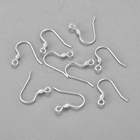 304 Stainless Steel Earring Hooks X-STAS-H436-04S-1