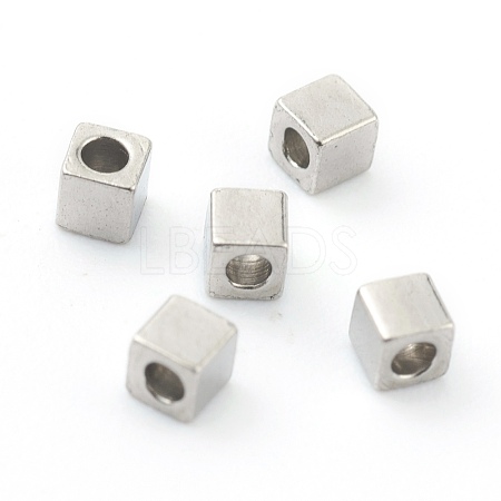 304 Stainless Steel Beads STAS-H160-01B-P-1