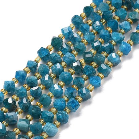 Natural Apatite Beads Strands G-P463-29-1