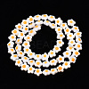 Natural White Shell Beads Strands SHEL-N003-30-2
