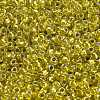 TOHO 8/0 Round Beads SEED-XTR08-1811-2