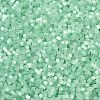 Imitation Cat Eyes Glass Seed Beads X2-SEED-H003-03Y-2