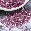 MIYUKI Delica Beads X-SEED-J020-DB1806-1
