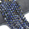 Natural Sodalite Beads Strands G-K389-E74-01B-2