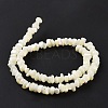 Natural Sea Shell Beads Strands SSHEL-S278-132-4