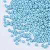 Baking Paint Cylinder Seed Beads SEED-Q036-02A-D06-3