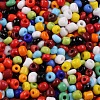 (Repacking Service Available) Glass Seed Beads SEED-C019-4mm-51-2