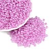 FGB Glass Seed Beads SEED-Q040-08A-07-1