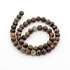 Natural Leopard Skin Jasper Round Bead Strands G-P070-77-10mm-2