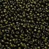 TOHO 6/0 Round Beads SEED-TR06-0617-4