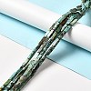 Natural African Turquoise(Jasper) Beads Strands G-F729-01-2