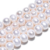 Natural Cultured Freshwater Pearl Beads Strands PEAR-N013-07J-3