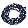 Electroplate Glass Beads Strands LS-EGLA-A044-P2mm-B16-3