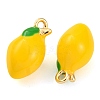 Alloy Enamel Pendants PALLOY-S032-01A-028-2