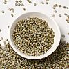 8/0 Opaque Colours Seep Glass Seed Beads SEED-F003-04B-07-2