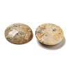 Natural Crazy Agate Cabochons G-C115-02B-23-2
