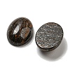 Natural Bronzite Cabochons G-C115-01A-21-2