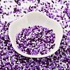 Baking Paint Glass Seed Beads SEED-S042-05B-53-2