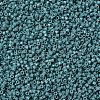 MIYUKI Delica Beads X-SEED-J020-DB2131-3
