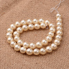 Polished Round Grade A Shell Pearl Bead Strands BSHE-M027-12mm-24-2