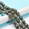 Tibetan Style dZi Beads Strands TDZI-E005-01L-2