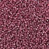 MIYUKI Delica Beads X-SEED-J020-DB0428-3