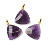 Natural Amethyst Pendants G-L614-D04-G01-1