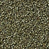 MIYUKI Delica Beads SEED-X0054-DB0372-3
