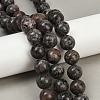 Natural Larvikite Beads Strands G-F792-C03-03-1