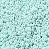 Baking Paint Glass Seed Beads SEED-P006-03A-29-3