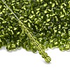 6/0 Glass Seed Beads SEED-A005-4mm-24-4
