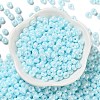 3/0 Glass Seed Beads X1-SEED-L011-03A-05-2