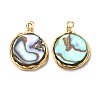 Natural Abalone Shell/Paua Shell Pendants G-K341-16G-2