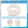 1 Strand AB Color Plated Shell Pearl Round Beads Strands BSHE-LT0001-01-2