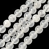 Natural Selenite Beads Strands G-N328-025B-01-1