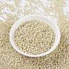 MIYUKI Round Rocailles Beads SEED-JP0009-RR0577-2