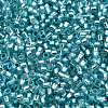 Glass Seed Beads SEED-S042-04B-23-3