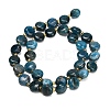 Natural Apatite Beads Strands G-H005-B14-01-5