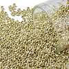 TOHO 11/0 Round Beads SEED-JPTR11-PF0559-1