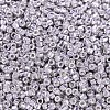 MIYUKI Delica Beads X-SEED-J020-DB0429-3