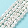 Natural Keshi Pearl Beads Strands PEAR-Z002-17-2