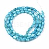 Freshwater Shell Beads Strands SHEL-T009-B15-3