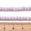 Handmade Lampwork Beads Strands BLOW-K001-01A-09-2