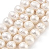 Natural Cultured Freshwater Pearl Beads Strands PEAR-C003-14F-1