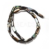 Natural Paua Shell Beads Strands SHEL-G014-09-2