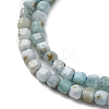 Natural Larimar Beads Strands G-F803-C01-01-4